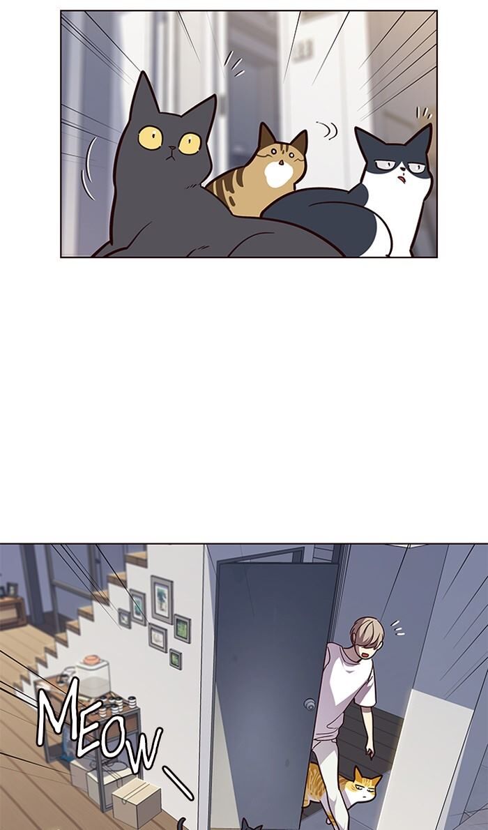 Page 11 of Chapter 55