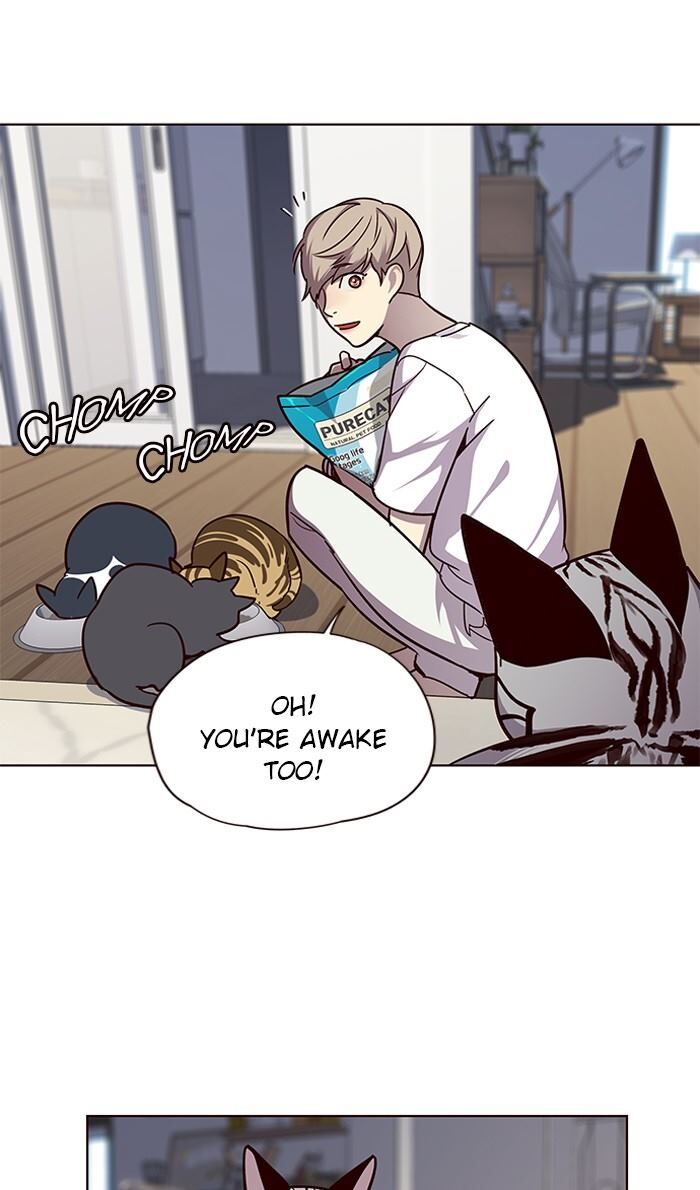 Page 13 of Chapter 55