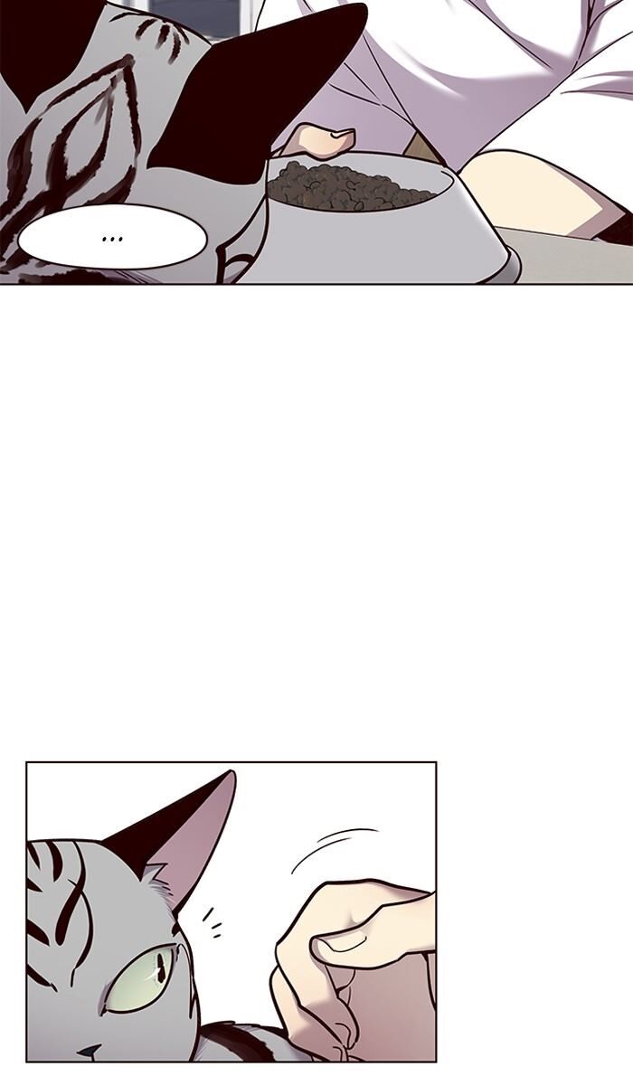 Page 15 of Chapter 55