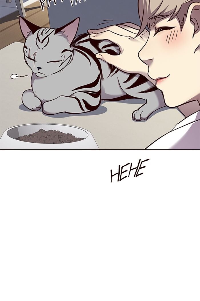 Page 17 of Chapter 55