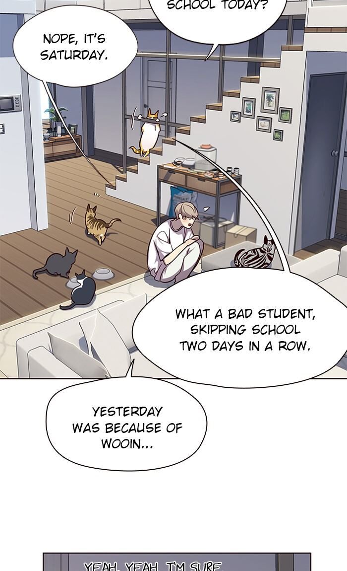 Page 19 of Chapter 55