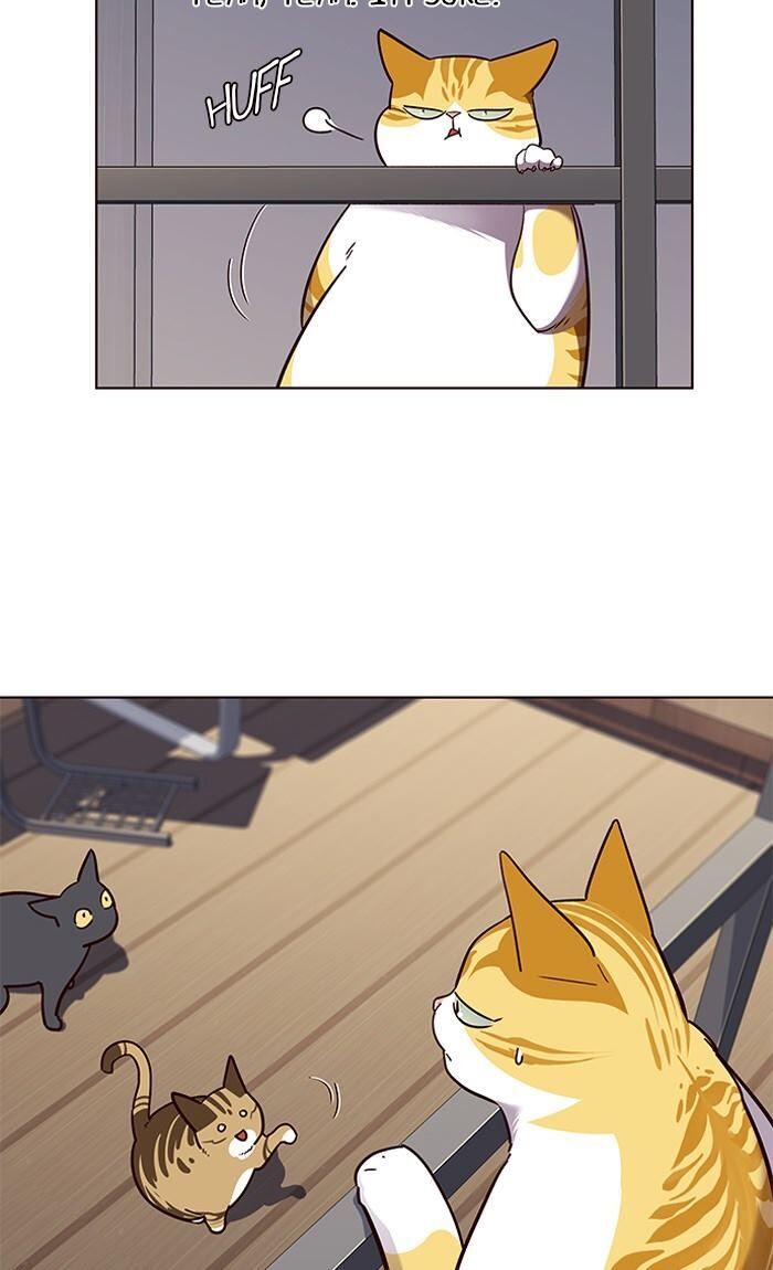 Page 20 of Chapter 55