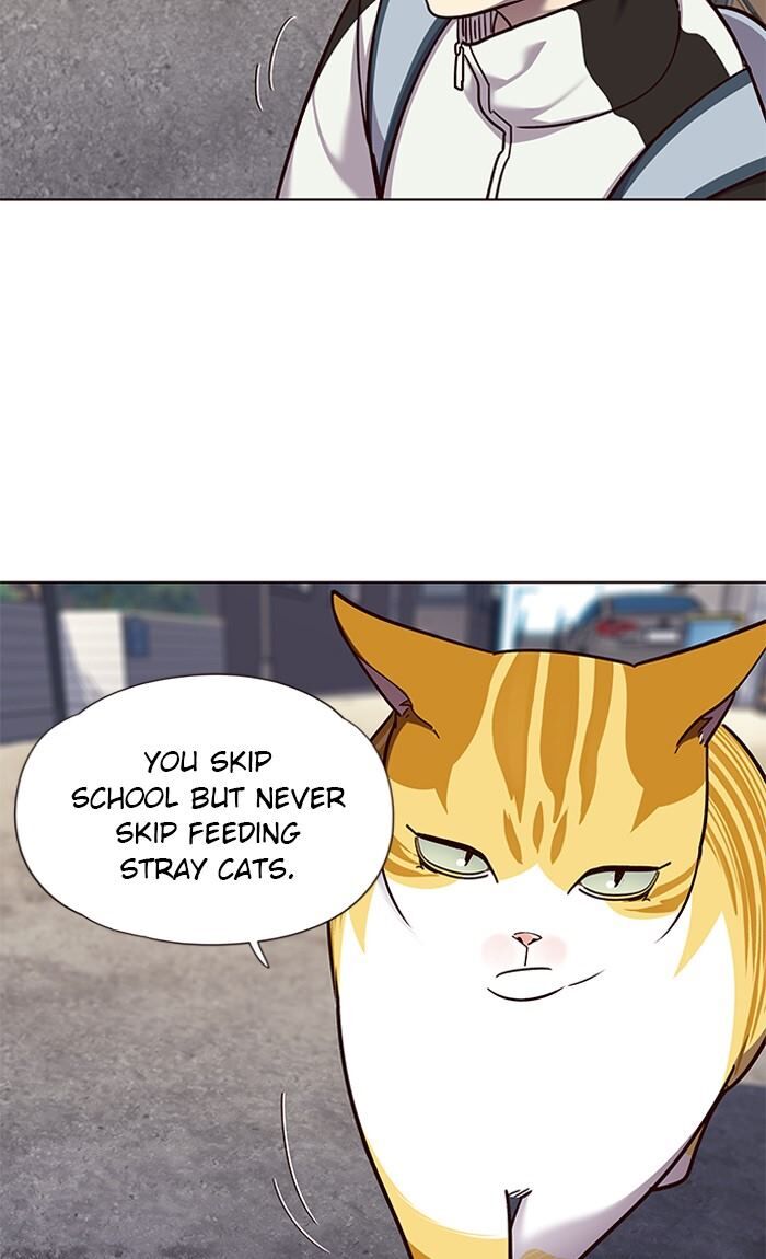Page 23 of Chapter 55