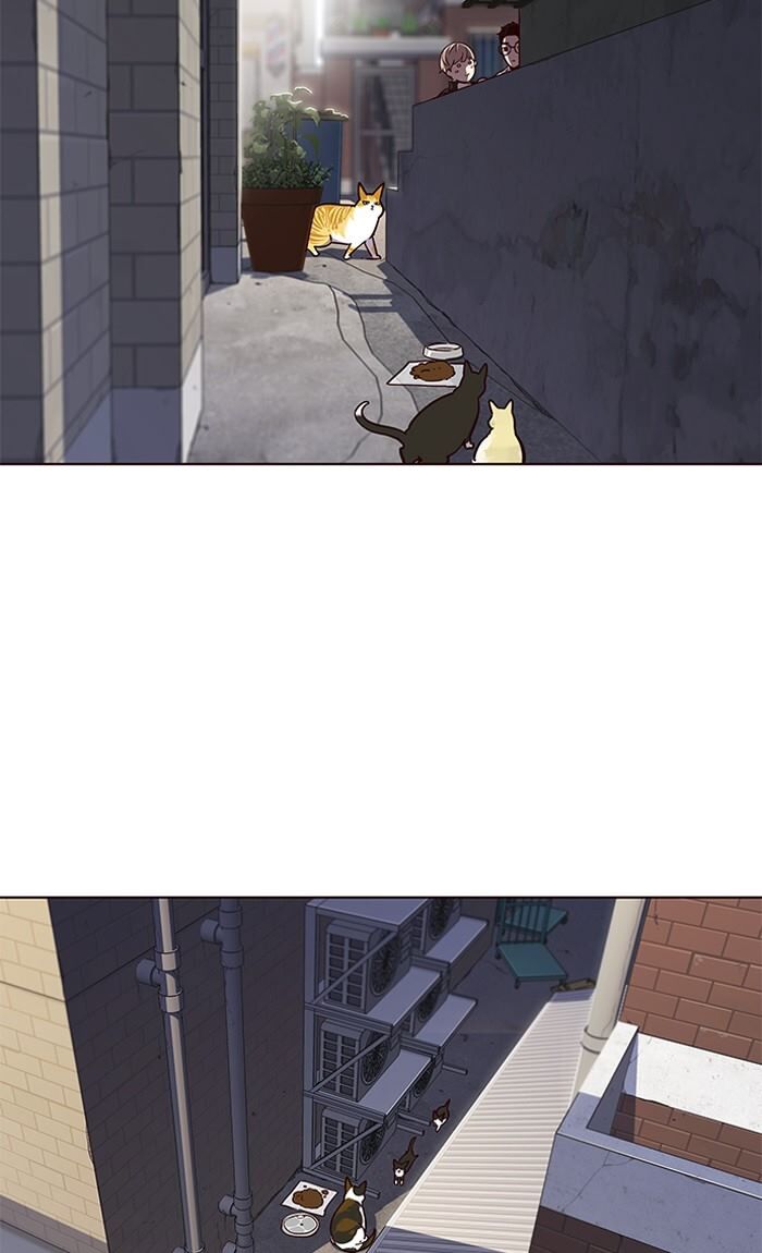 Page 34 of Chapter 55