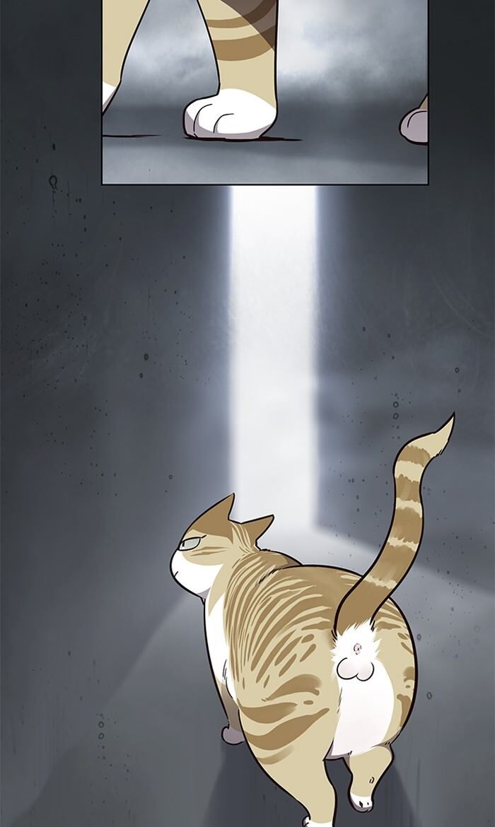 Page 2 of Chapter 56