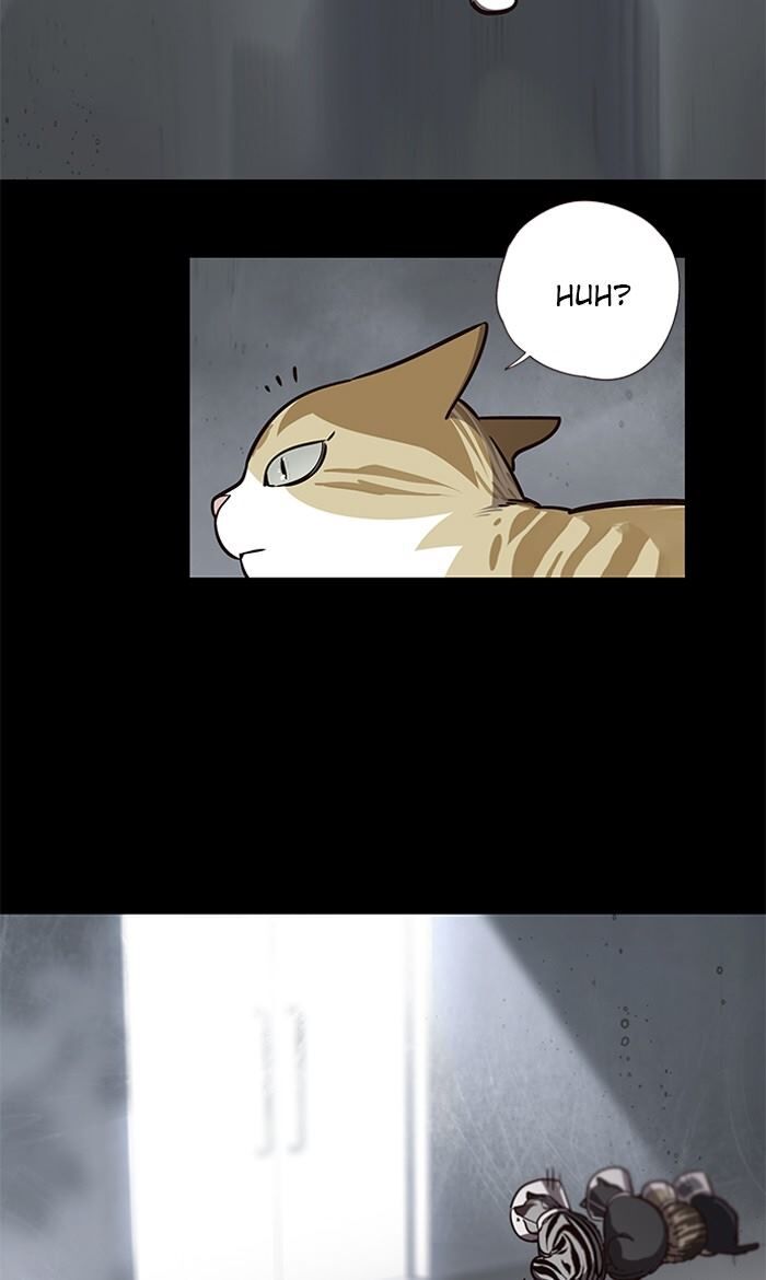 Page 3 of Chapter 56