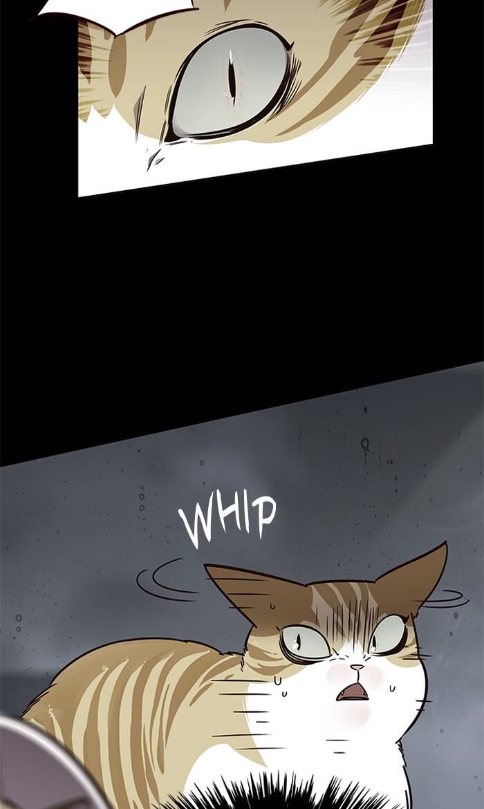 Page 9 of Chapter 56