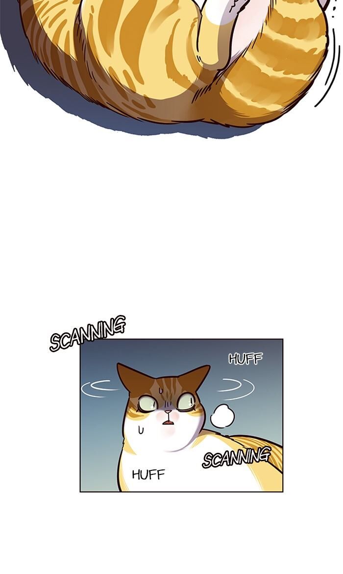 Page 15 of Chapter 56