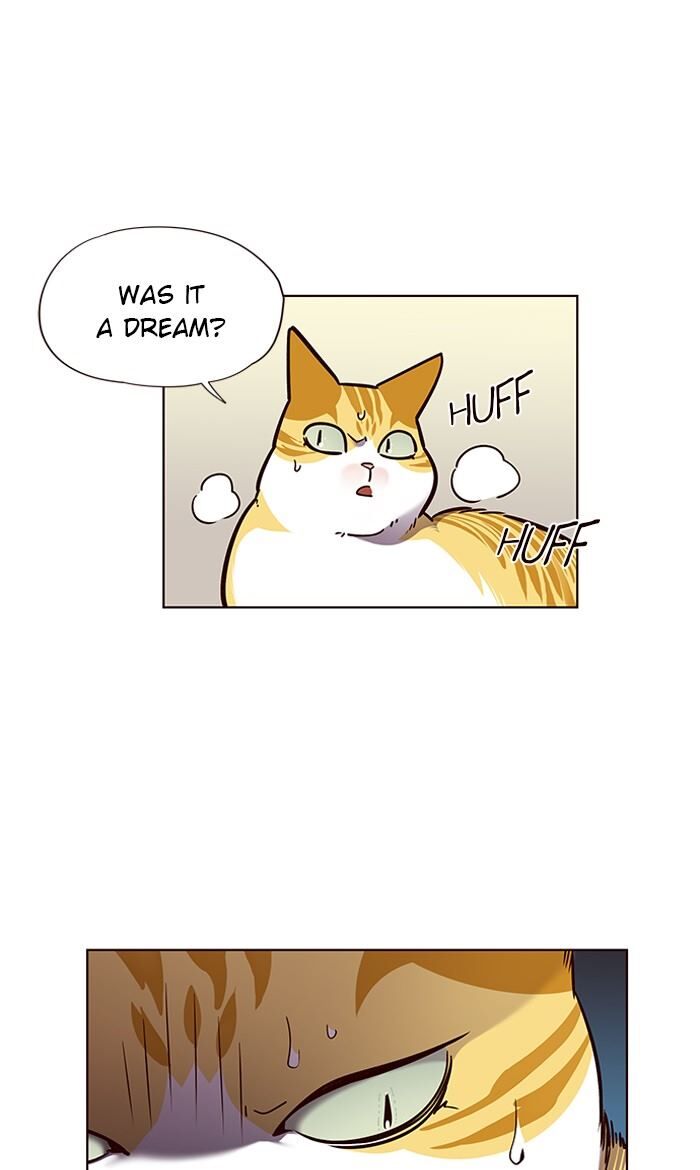 Page 17 of Chapter 56