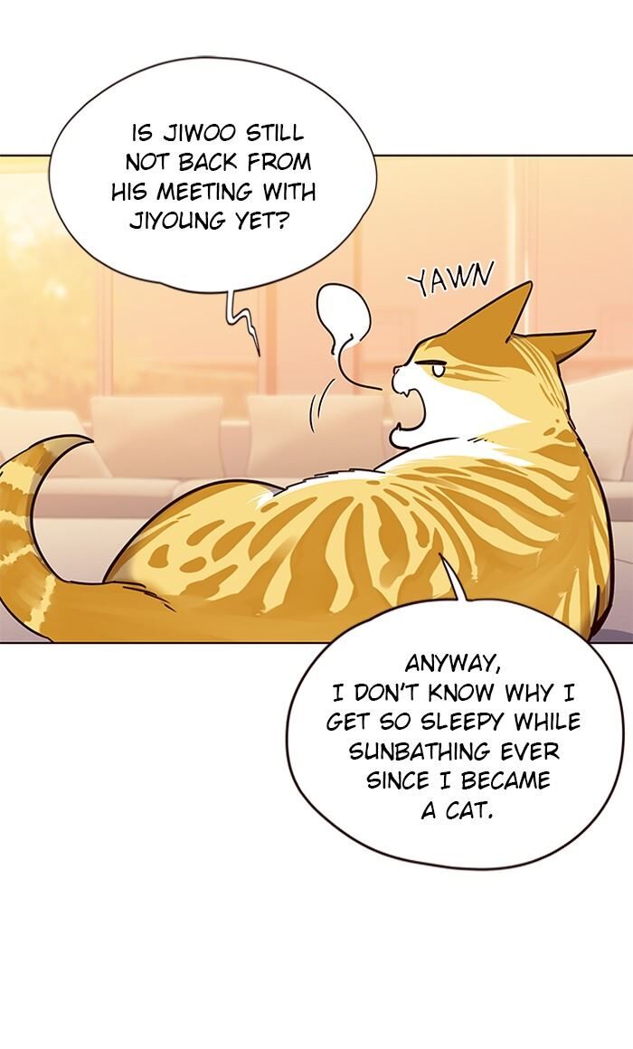 Page 20 of Chapter 56