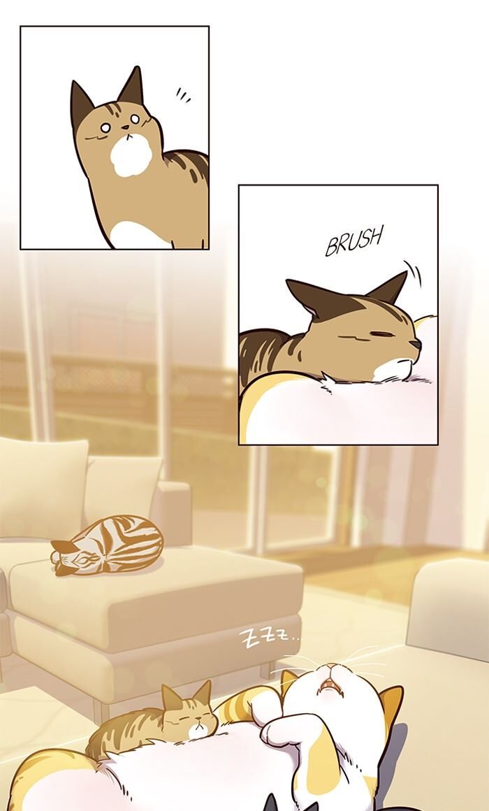 Page 21 of Chapter 56