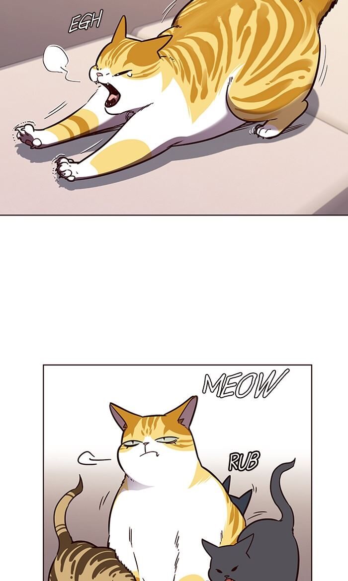 Page 52 of Chapter 56