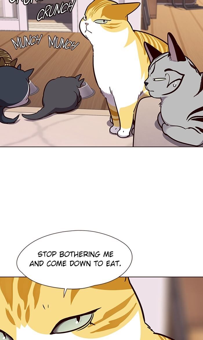 Page 56 of Chapter 56