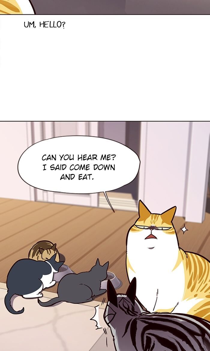 Page 58 of Chapter 56