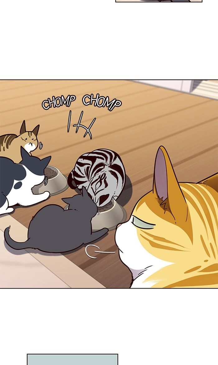 Page 60 of Chapter 56