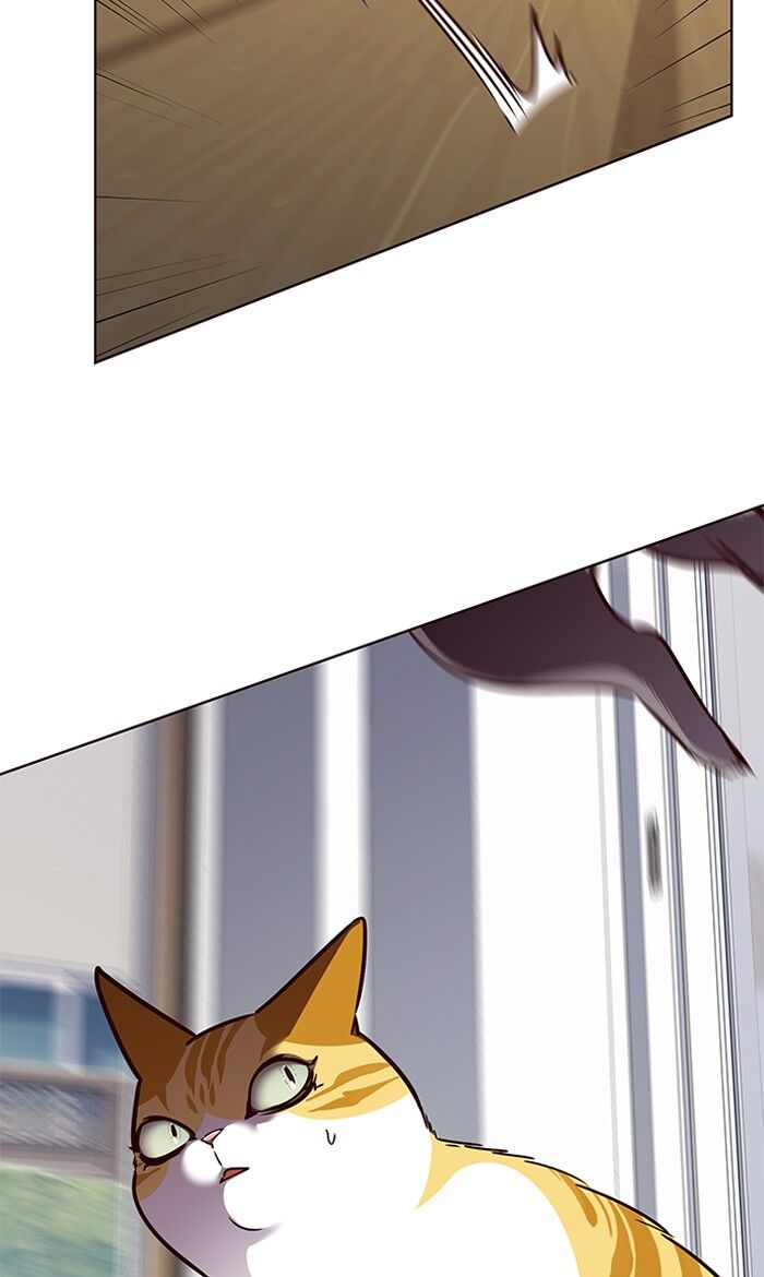 Page 13 of Chapter 58
