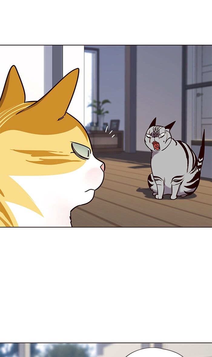 Page 37 of Chapter 58