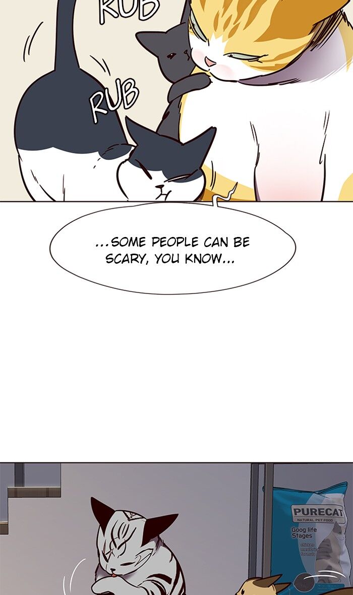 Page 41 of Chapter 58