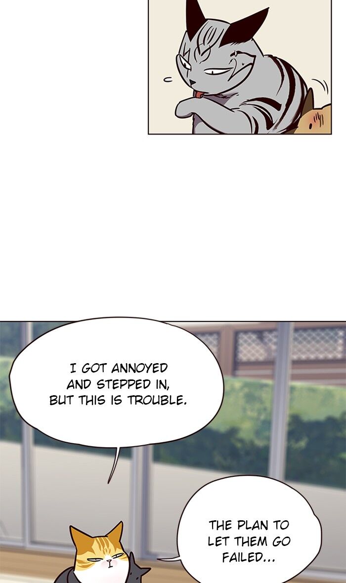 Page 43 of Chapter 58