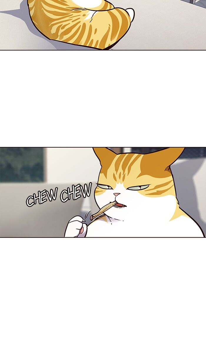 Page 44 of Chapter 60