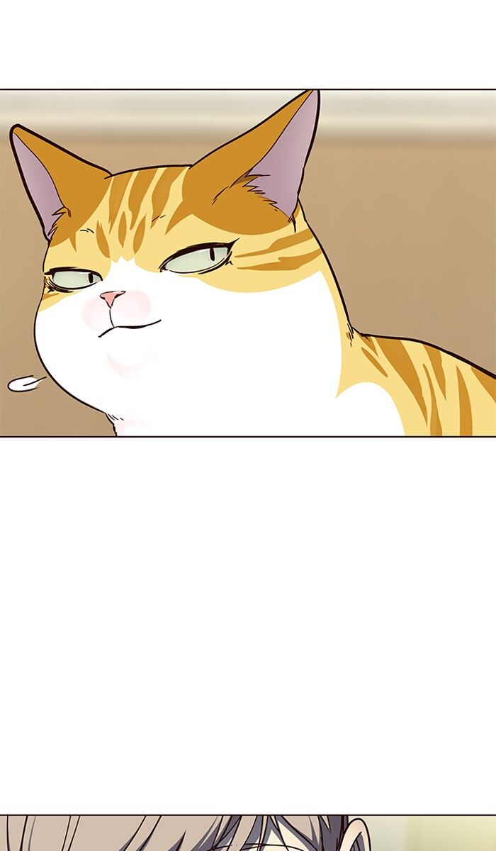 Page 75 of Chapter 61