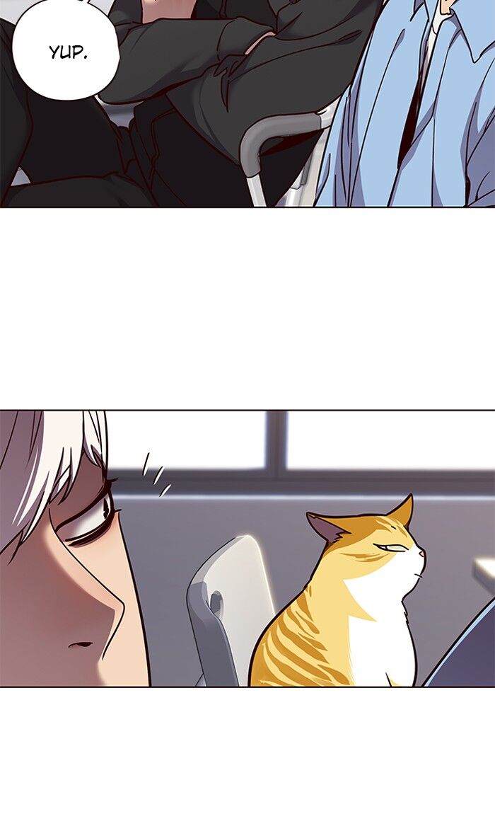 Page 55 of Chapter 62