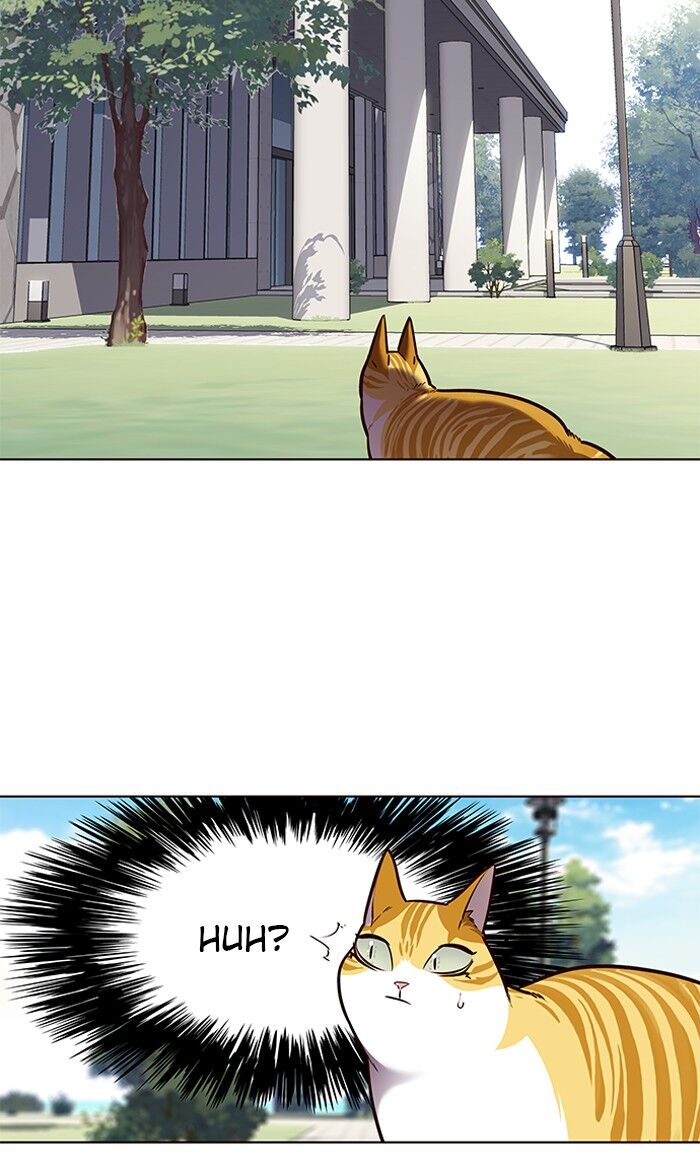 Page 69 of Chapter 71