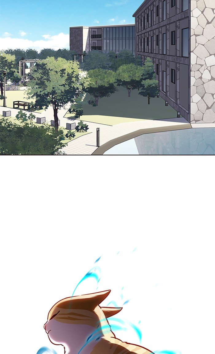 Page 19 of Chapter 73