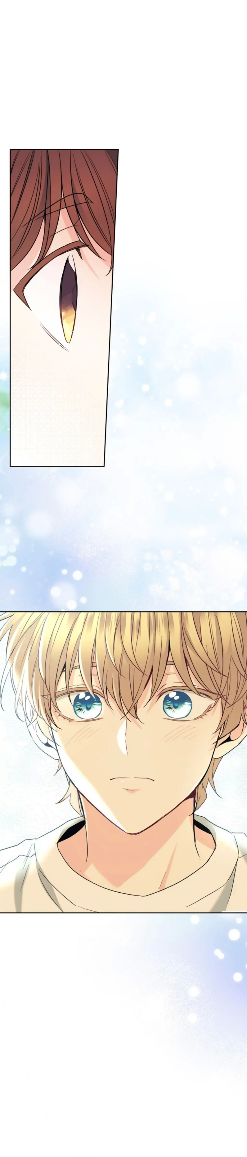 Page 31 of Chapter 155