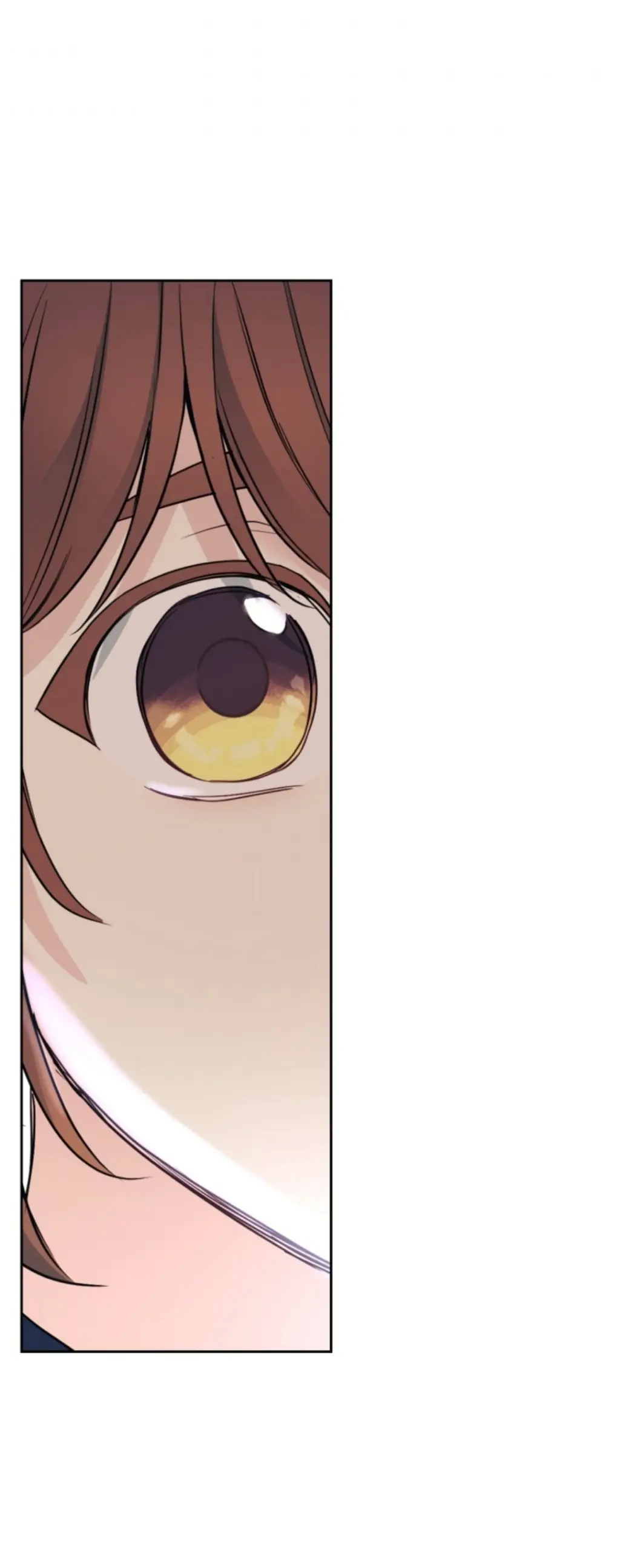 Page 36 of Chapter 155