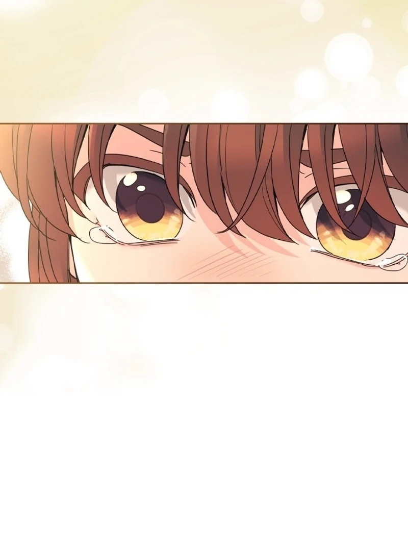 Page 29 of Chapter 234