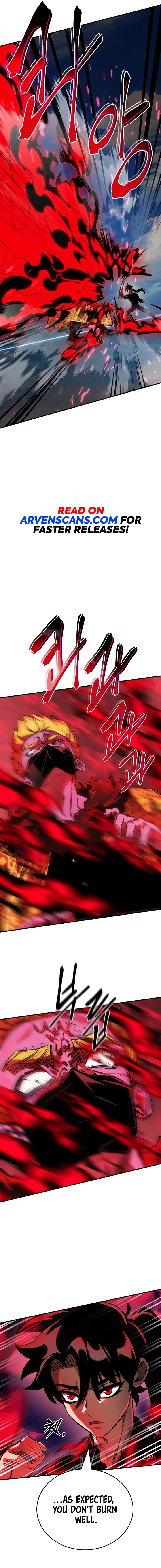 Page 13 of Chapter 17