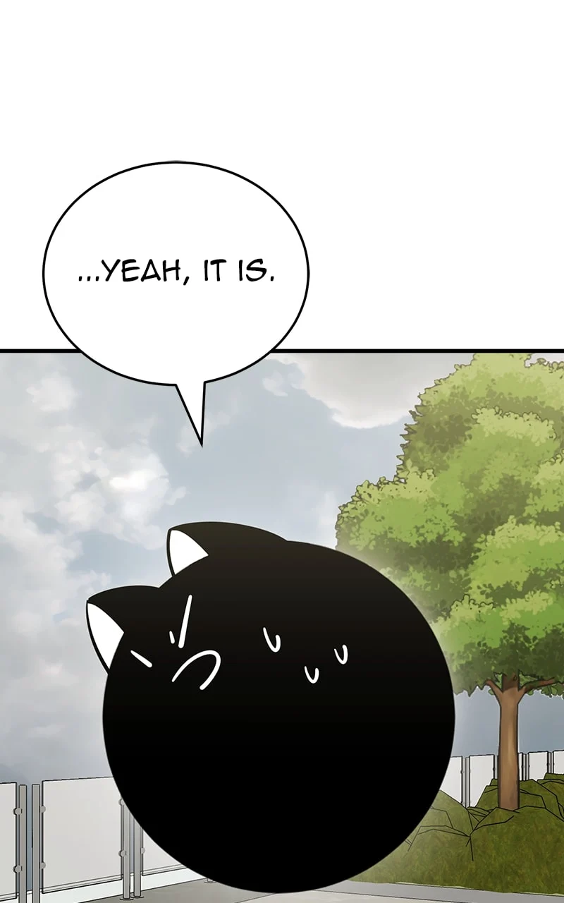 Page 151 of Chapter 35