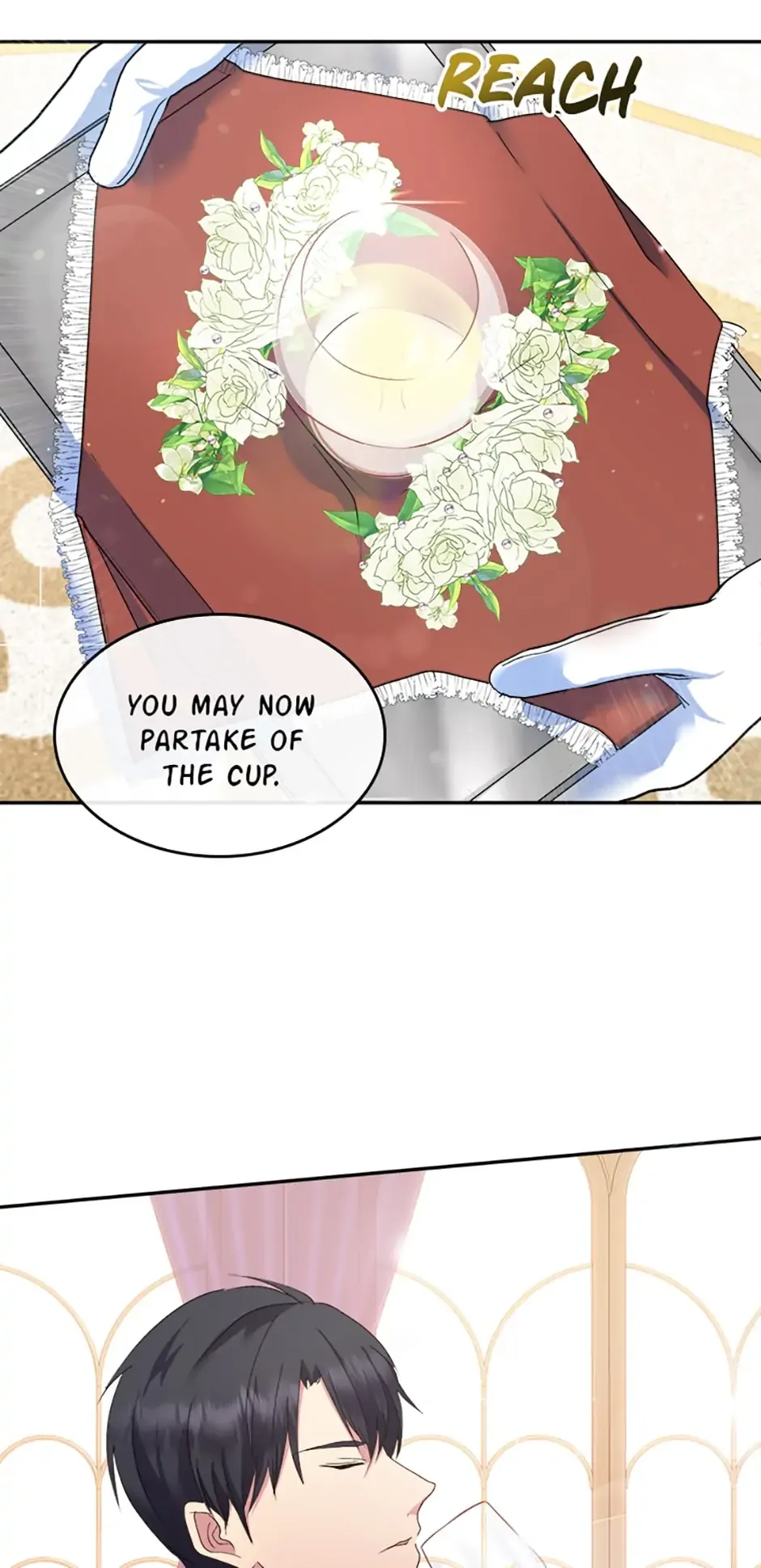 Page 30 of Chapter 12