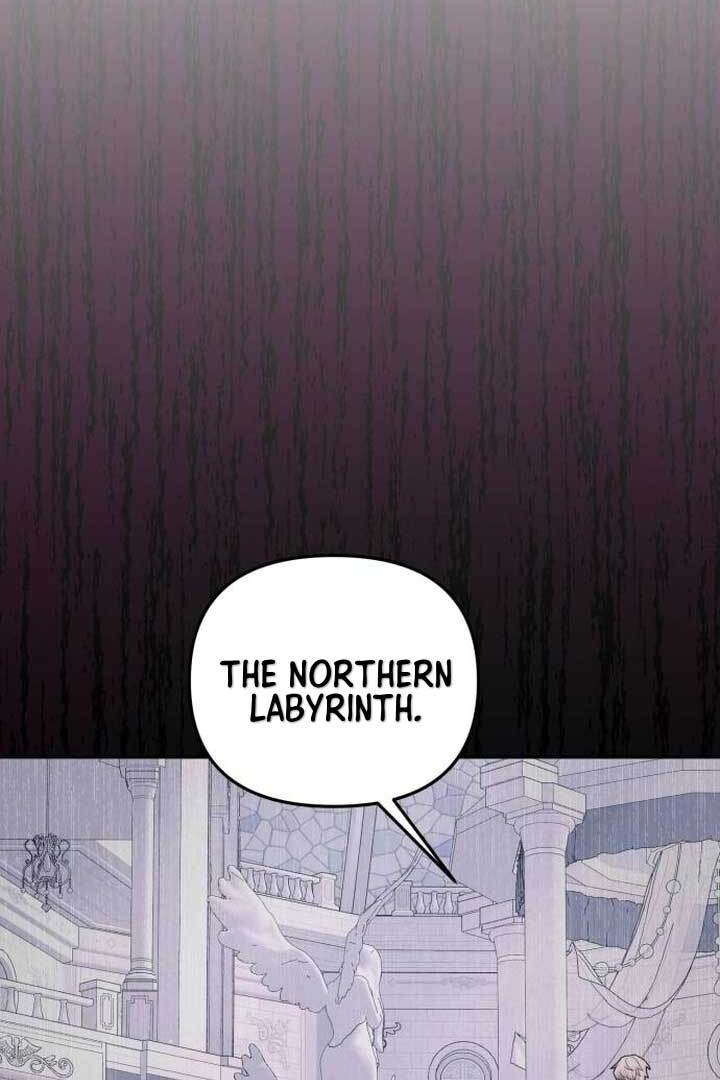 Page 109 of Chapter 13
