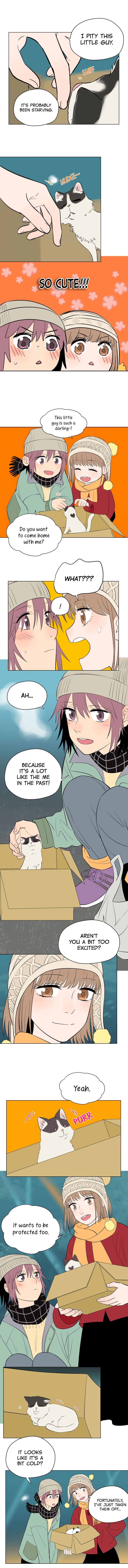 Page 5 of Chapter 38