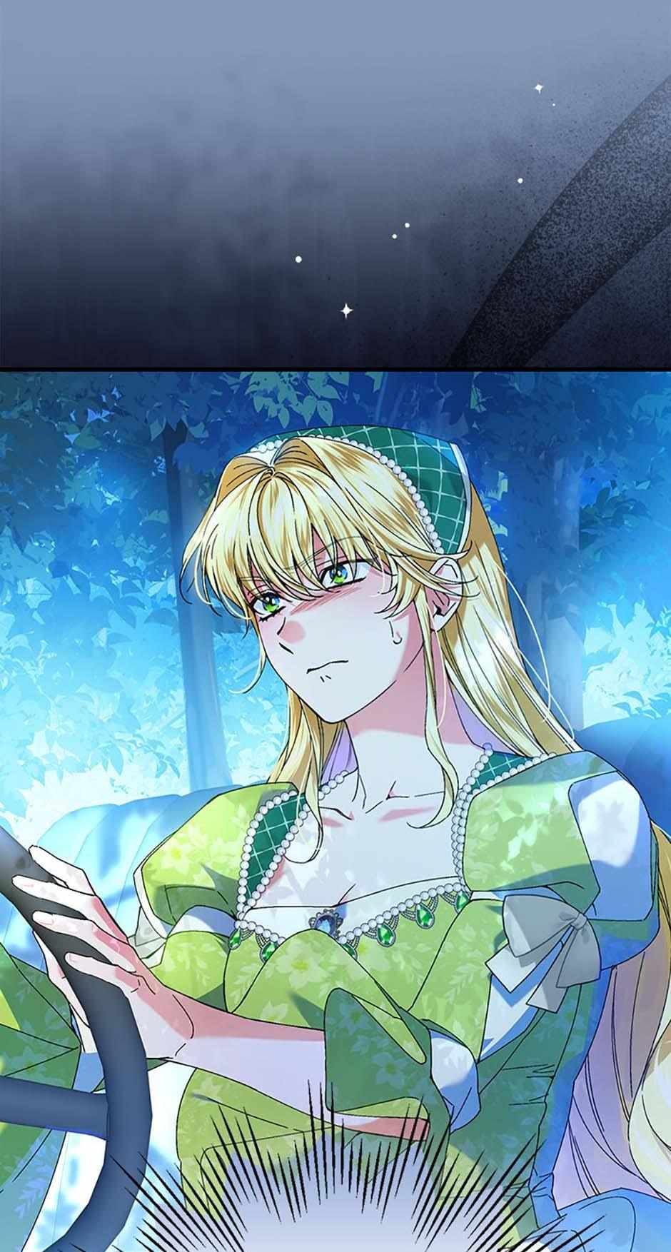 Page 68 of Chapter 96