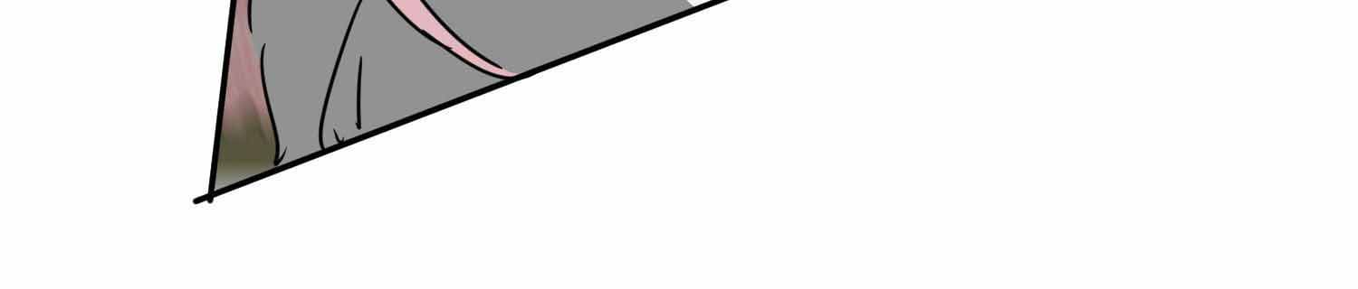 Page 55 of Chapter 99.2