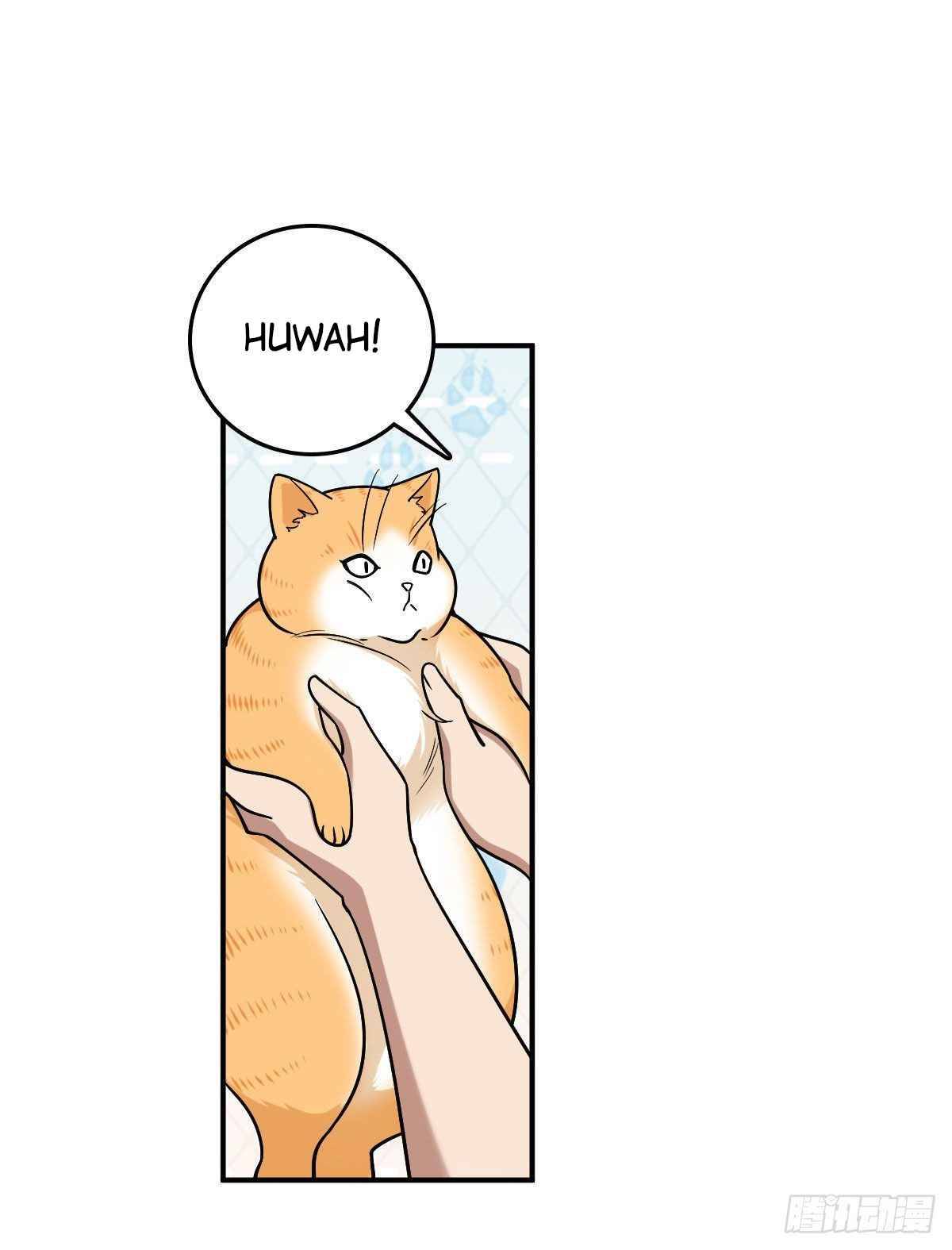 Page 17 of Chapter 12