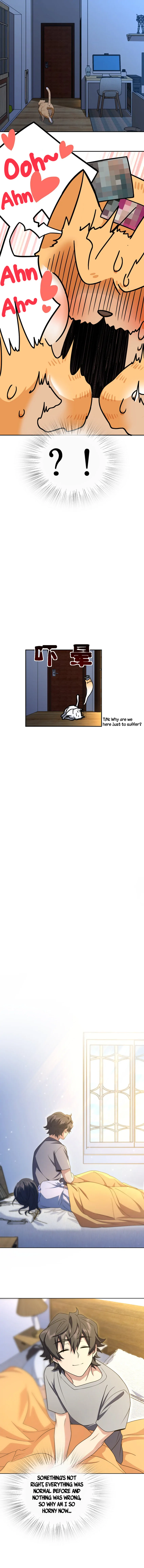 Page 13 of Chapter 238