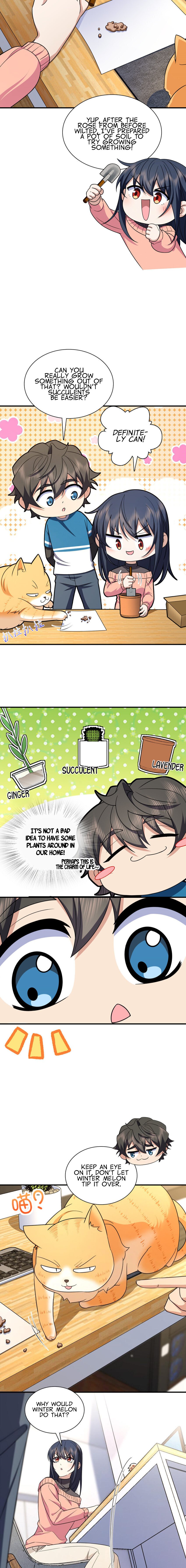 Page 13 of Chapter 252