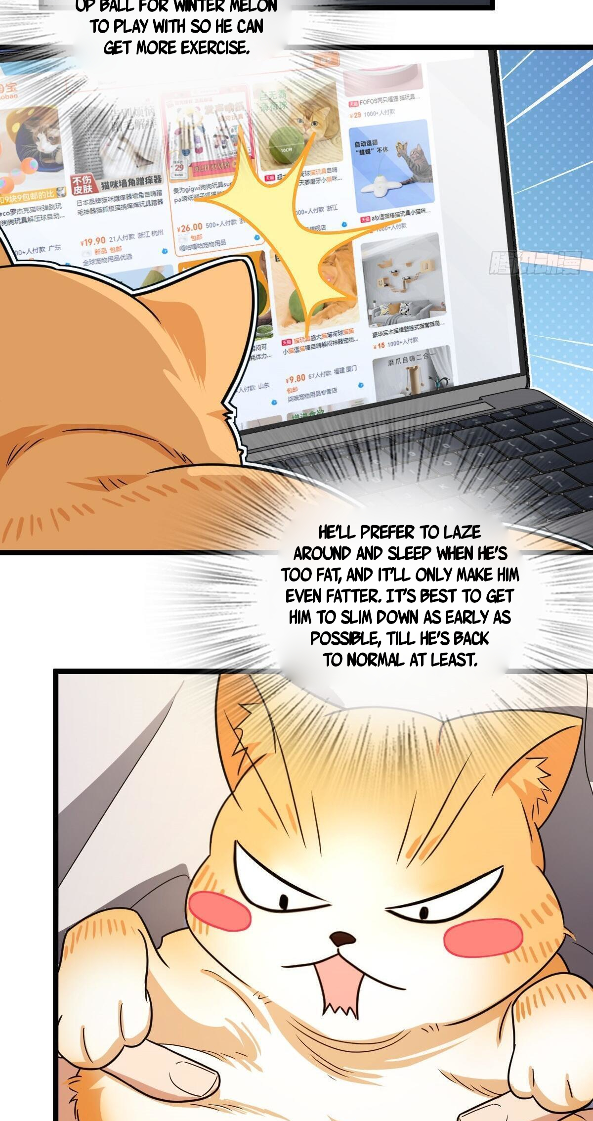 Page 44 of Chapter 284