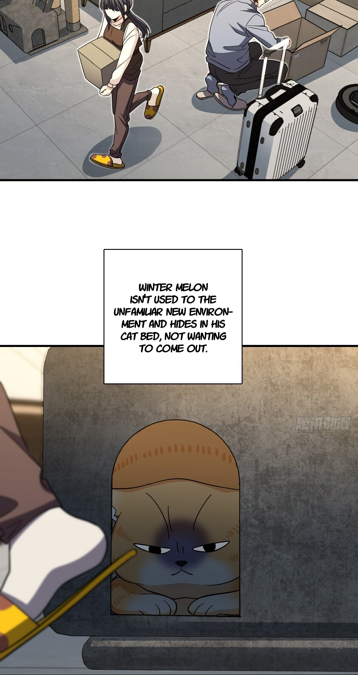 Page 22 of Chapter 305