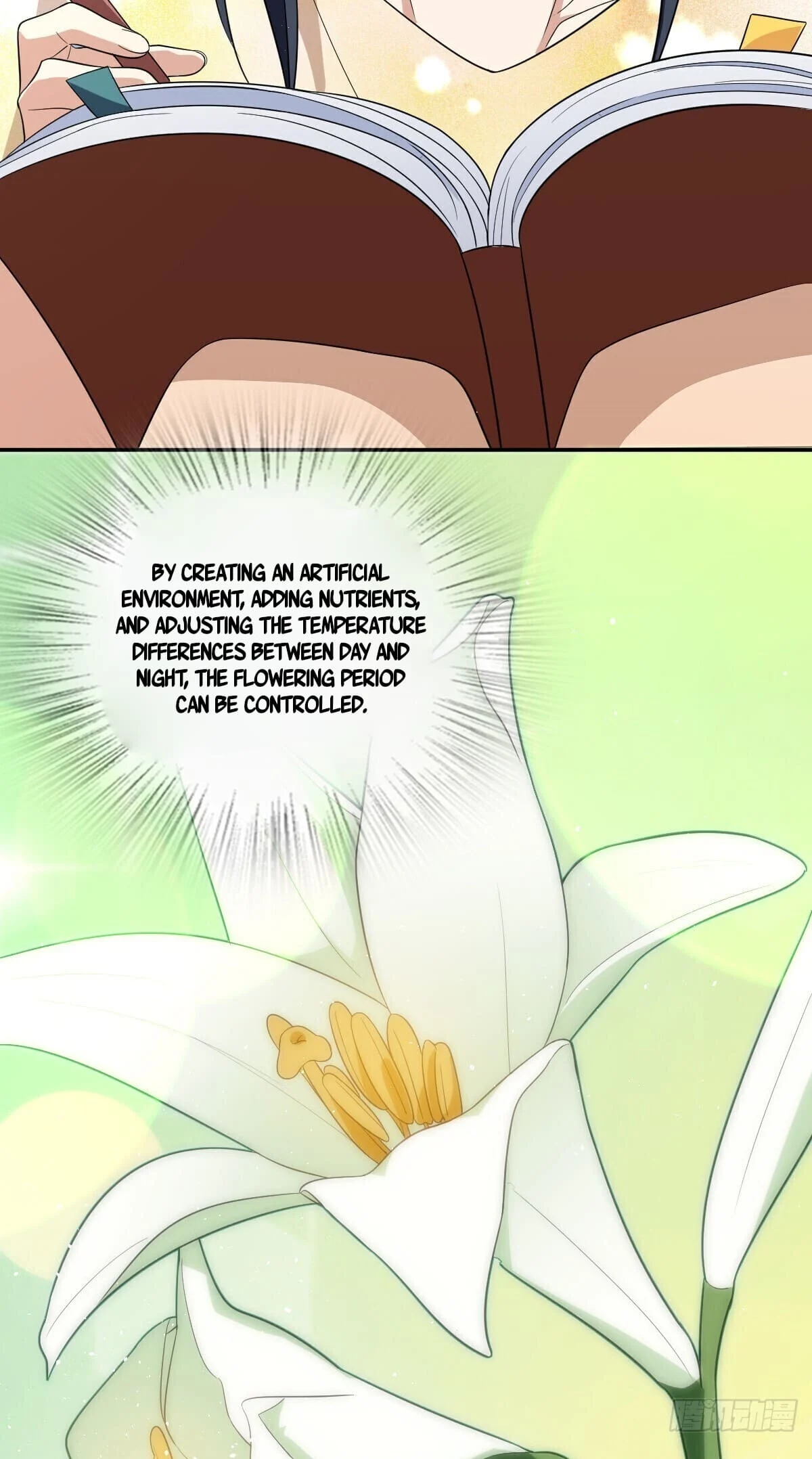Page 25 of Chapter 324
