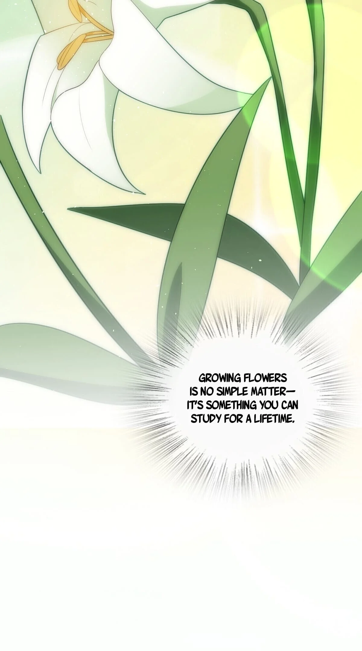 Page 26 of Chapter 324