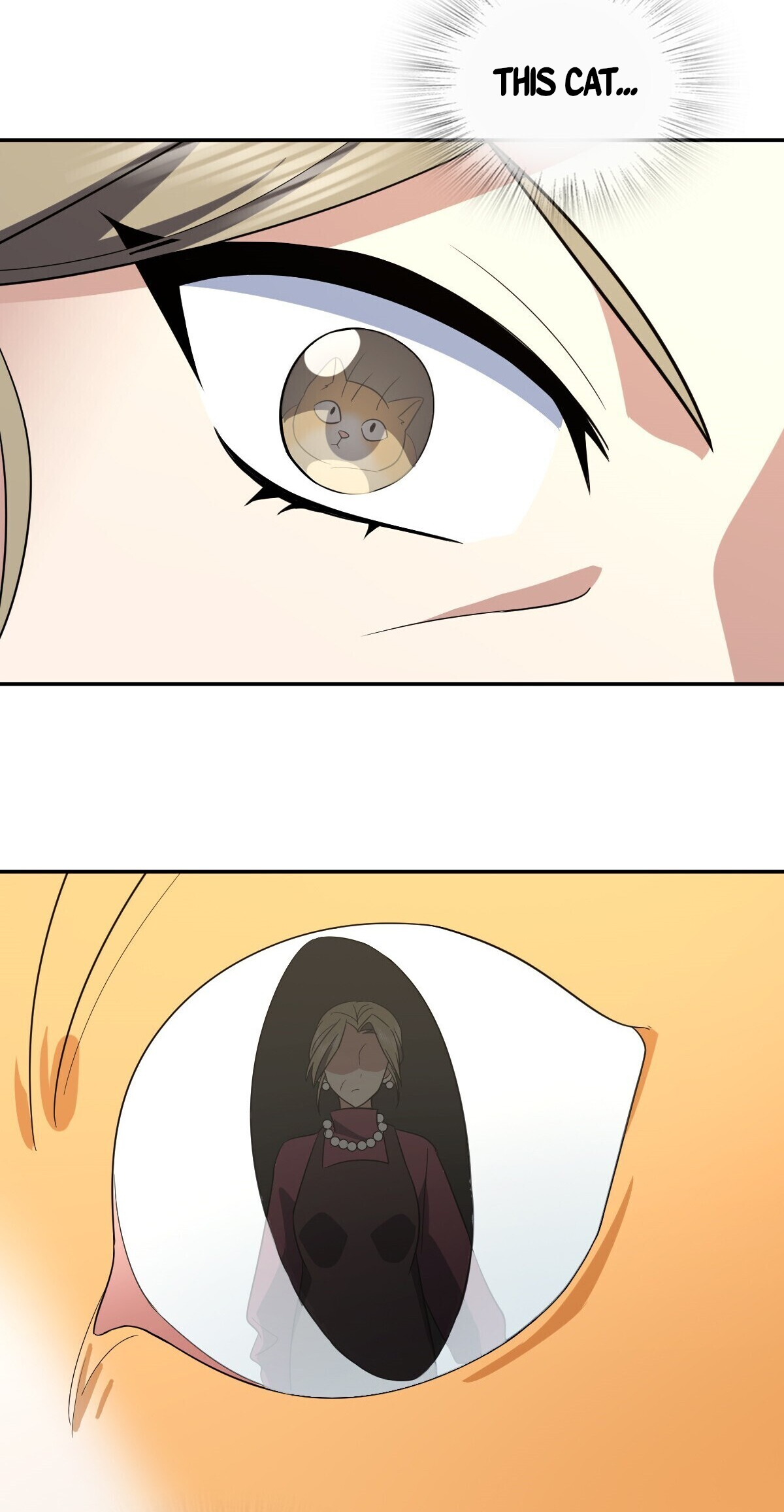 Page 47 of Chapter 332