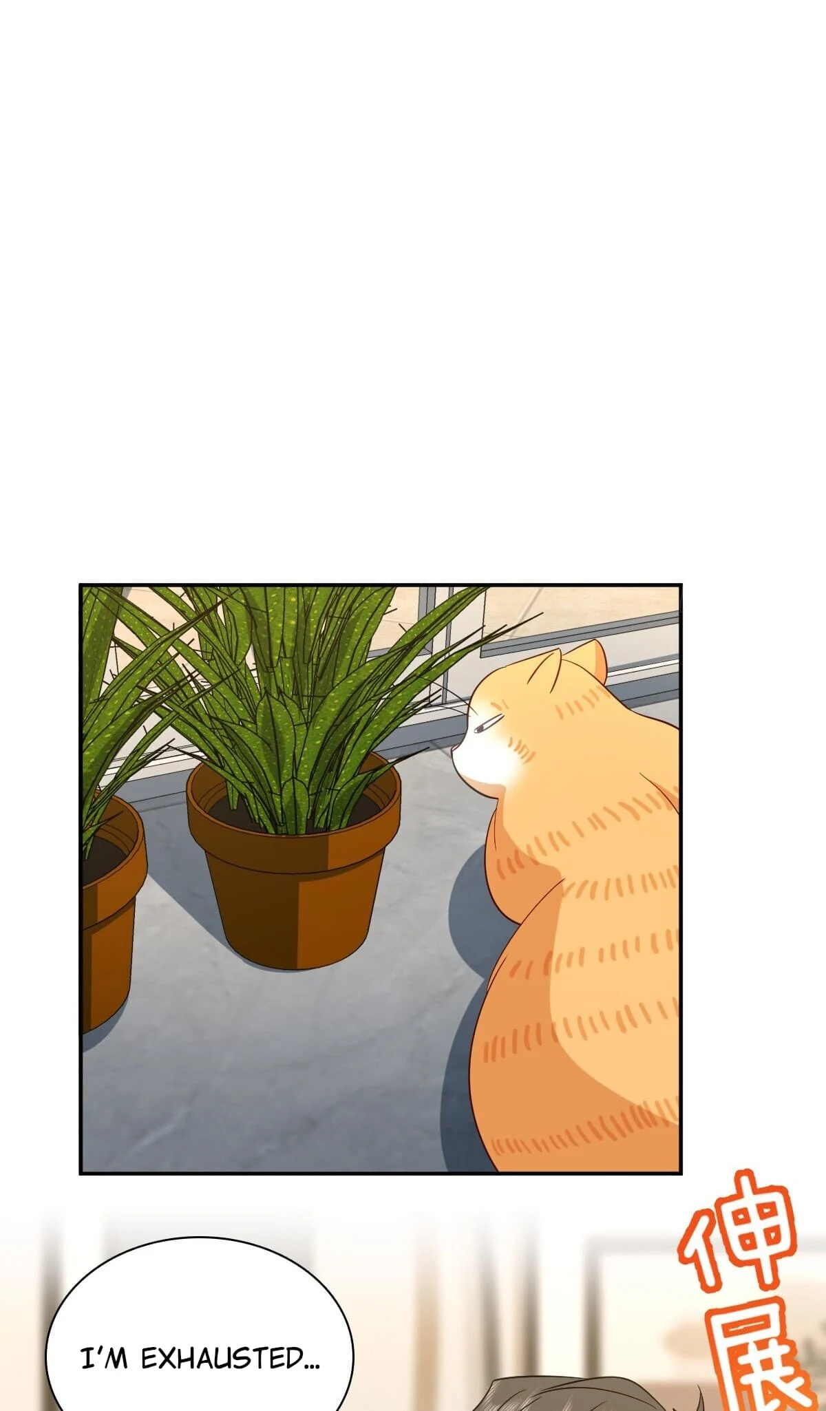 Page 37 of Chapter 333