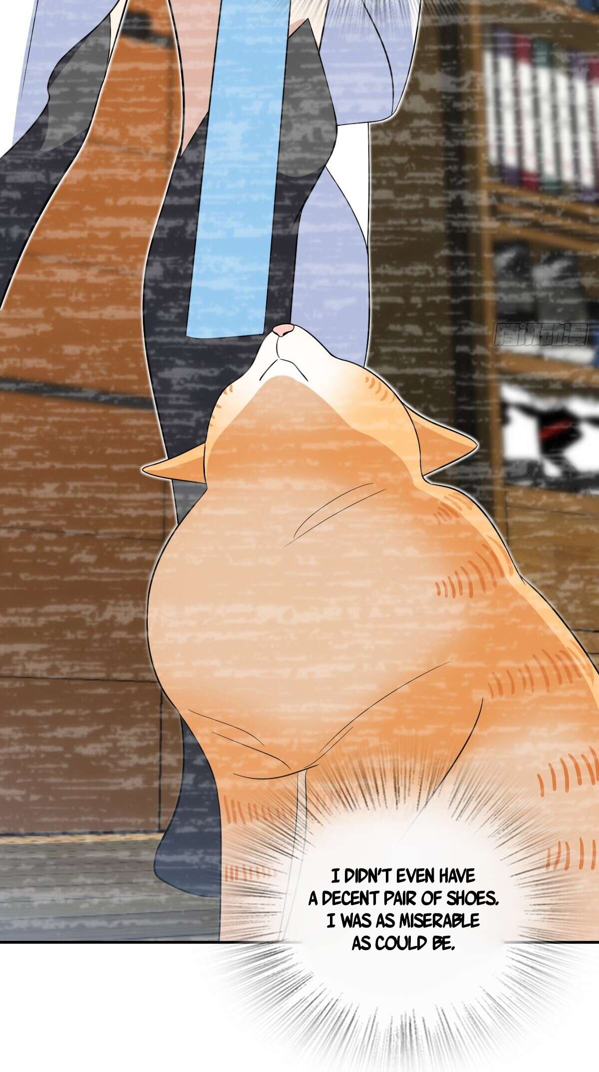 Page 11 of Chapter 337