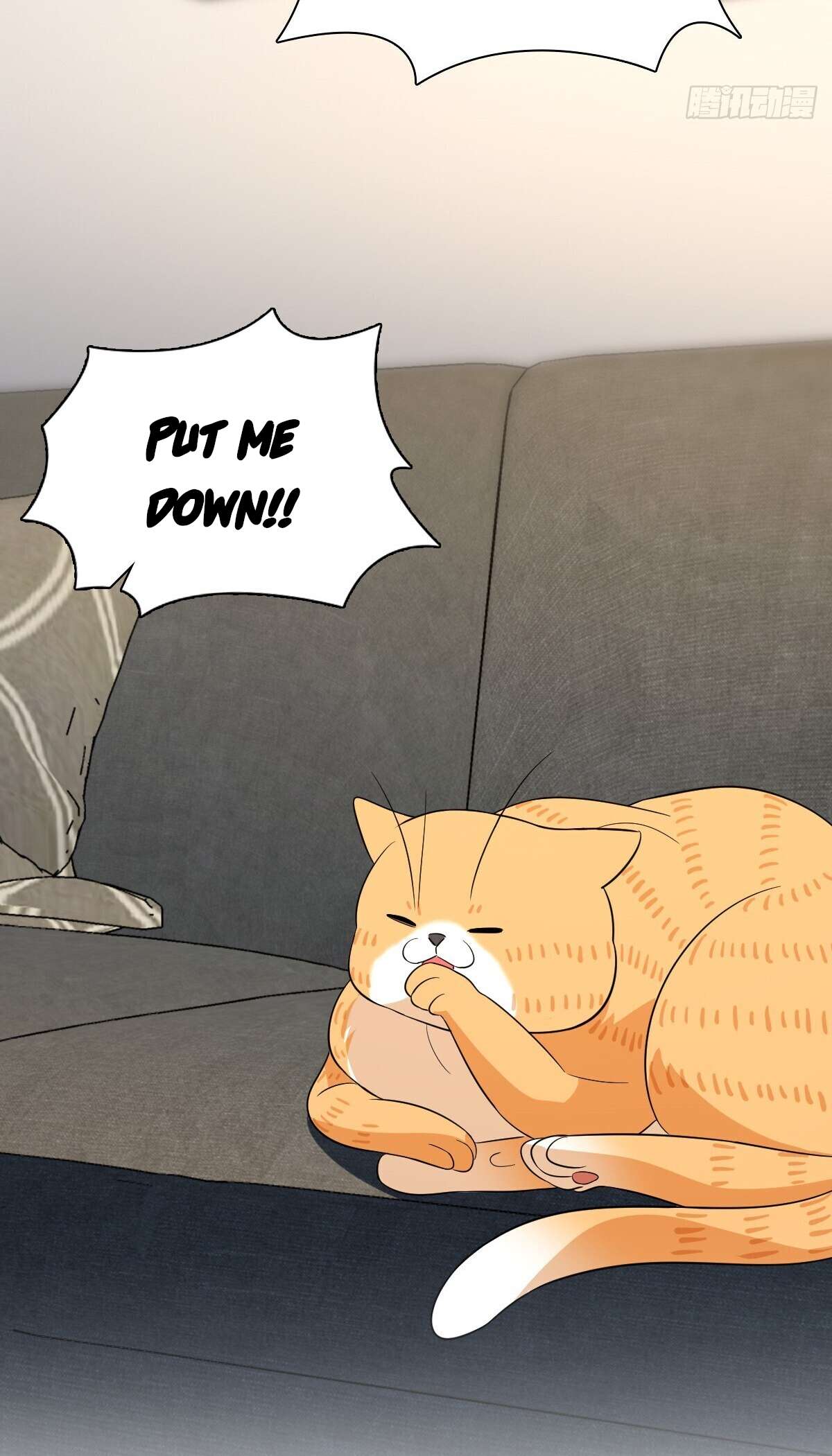 Page 28 of Chapter 338