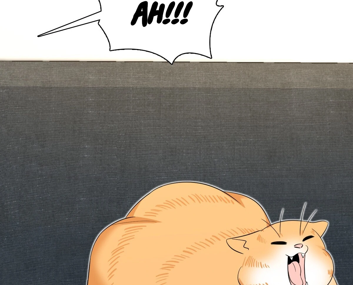 Page 99 of Chapter 347
